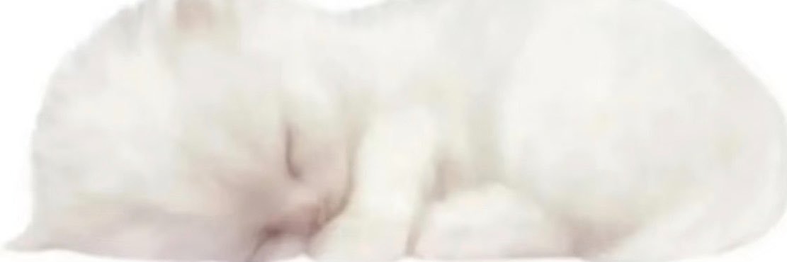 kitty520i's profile banner image