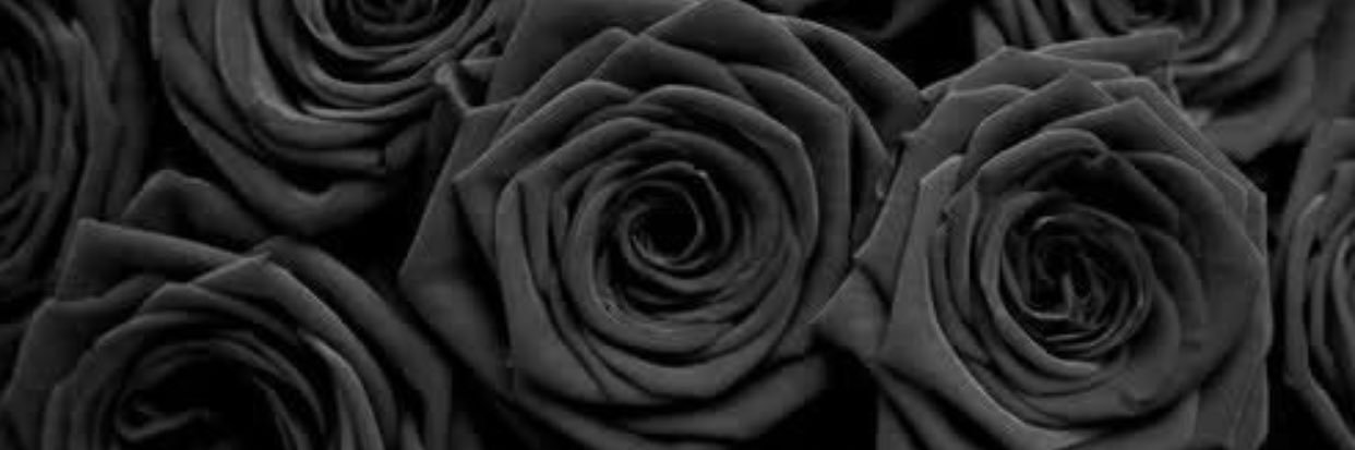 Cardosolz's profile banner image