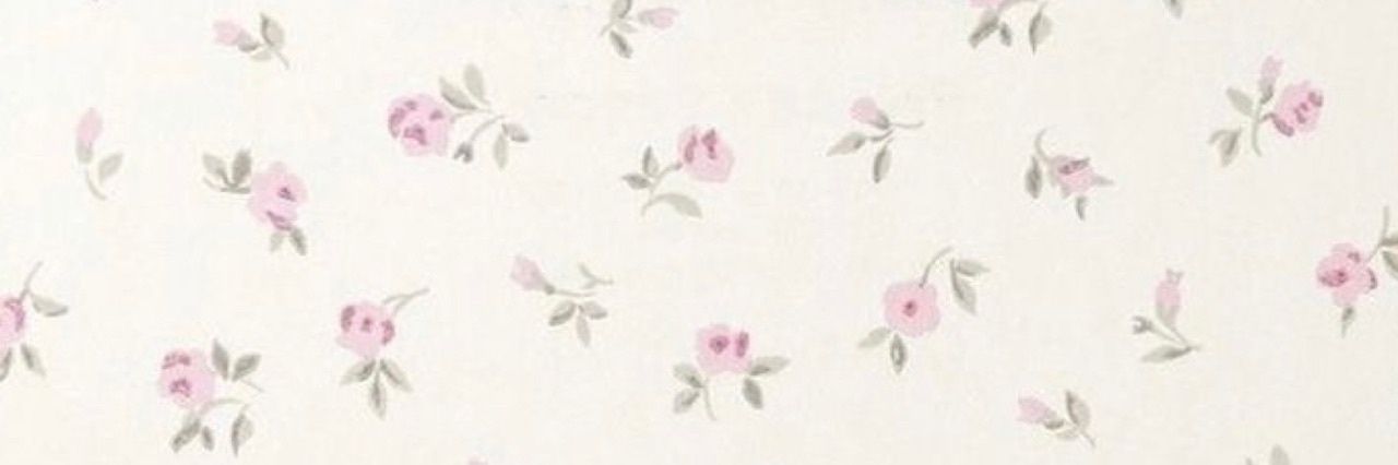 Dodo 🌸 c/mmissions open💓's banner