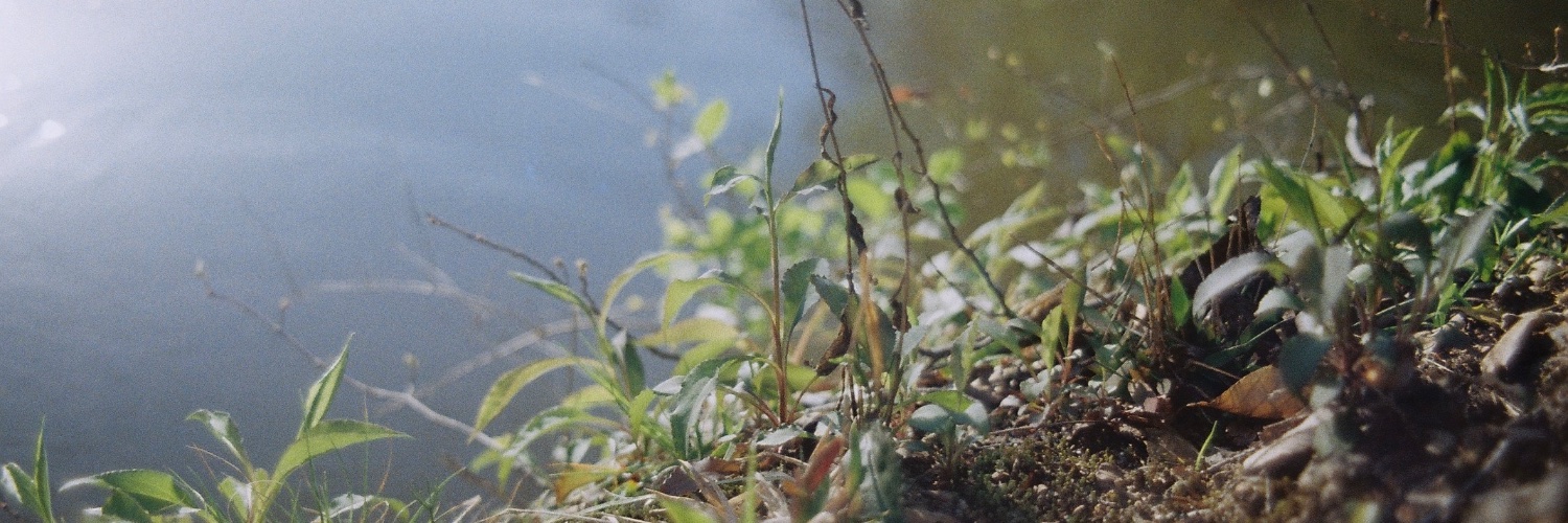 _jiggiwiggi's profile banner image