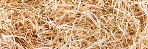 hamsterfaktor's profile banner image