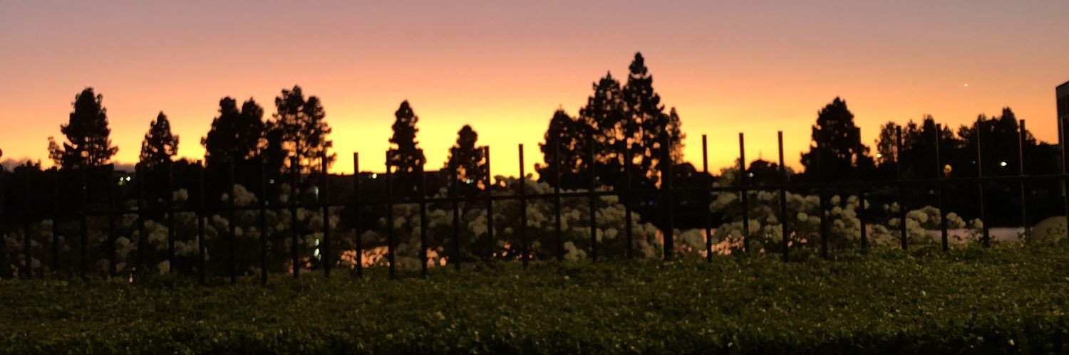 User's X banner image