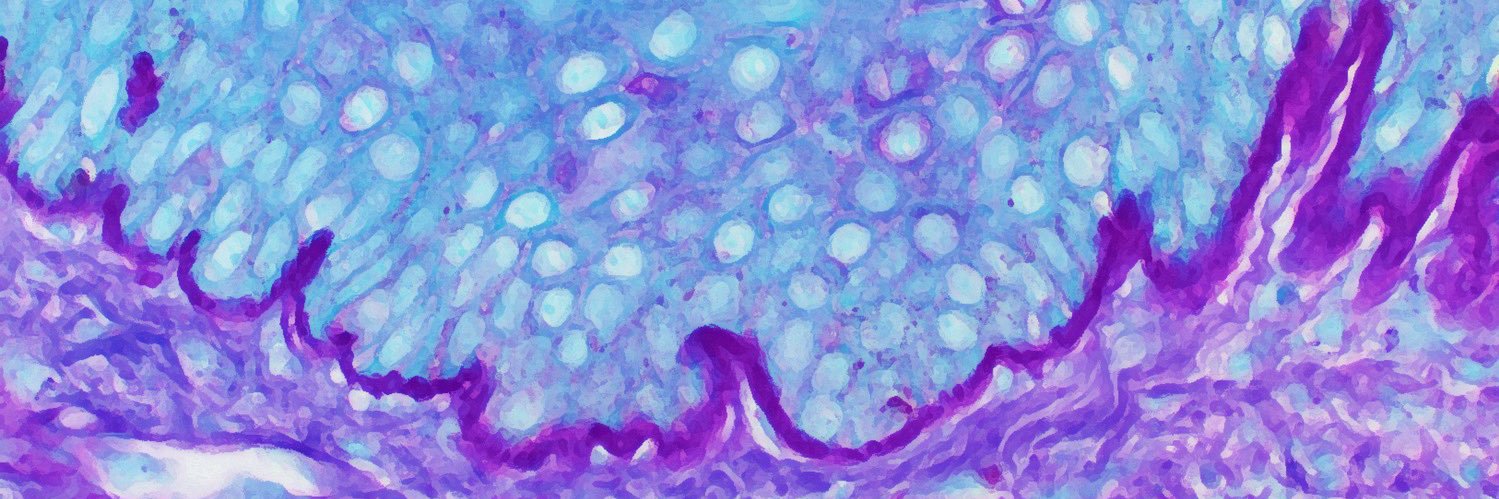 Juanita Duran, MD banner