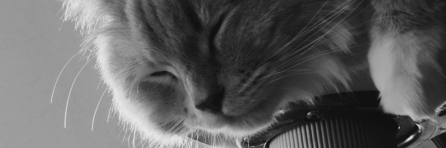 pwらのぴくるす🐇👅 banner