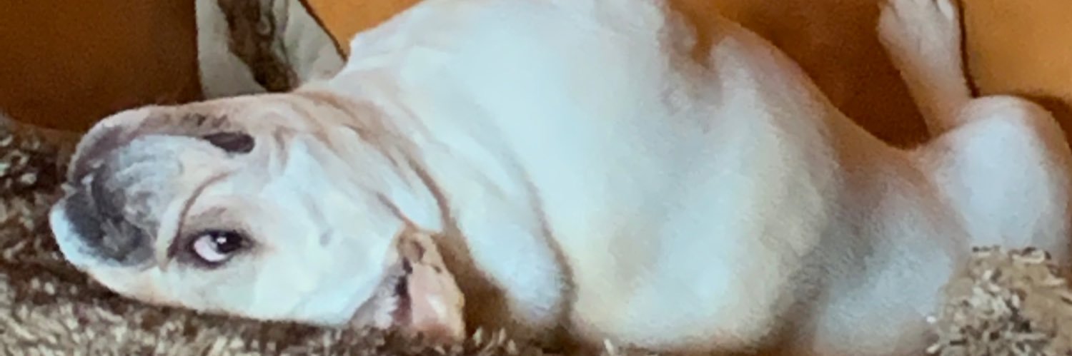txteach3's profile banner image