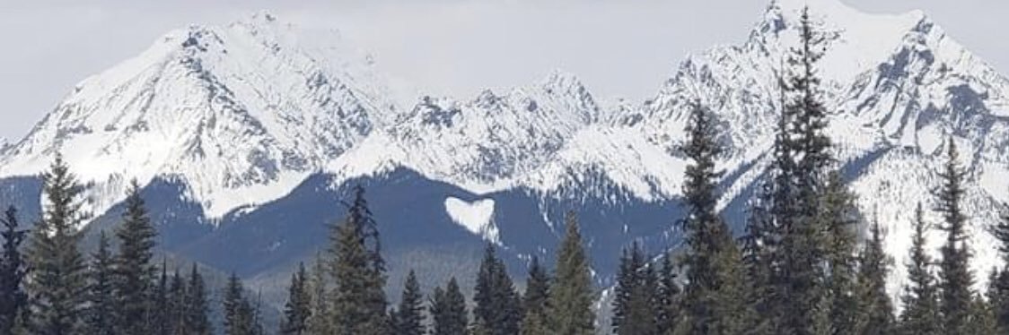 Tayytasty's profile banner image