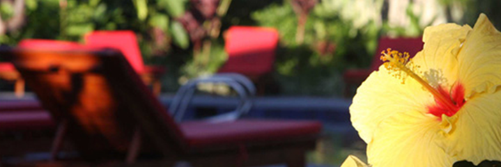 CoconutCondos's profile banner image