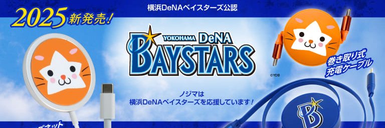 ノジマオンライン's banner