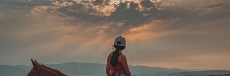 ☤ فرسْ آلسُّلطانْ ♚ banner