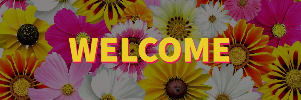 Andrew Murphy banner