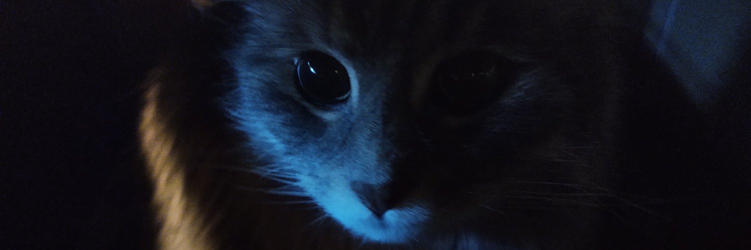 TheViolinaria's profile banner image