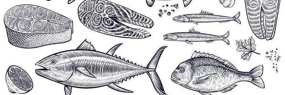 el_fishbone's profile banner image