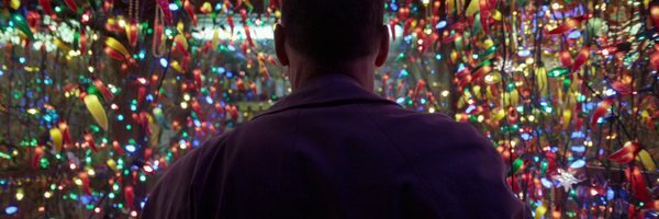 ReijerZwaan Profile Banner