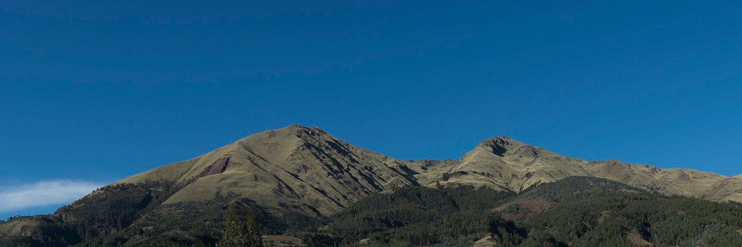 ebellota25's profile banner image