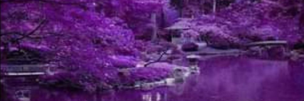 norhuda999's profile banner image