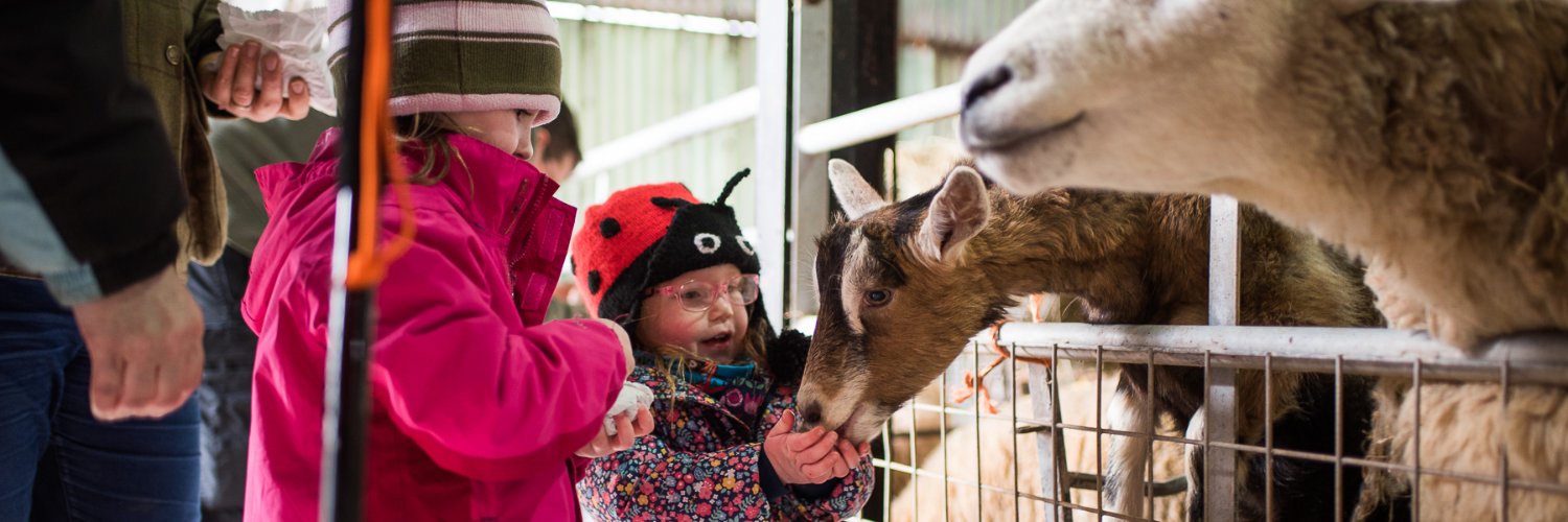 Cantref Adv Farm (@Cantref) / Posts / X
