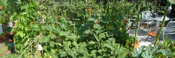 wellsrebecca Profile Banner