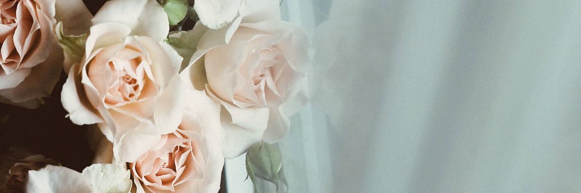 2012Hno0on's profile banner image