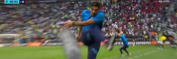 Henrique DUODECA ⓟalesTRIno 🐷💚 banner