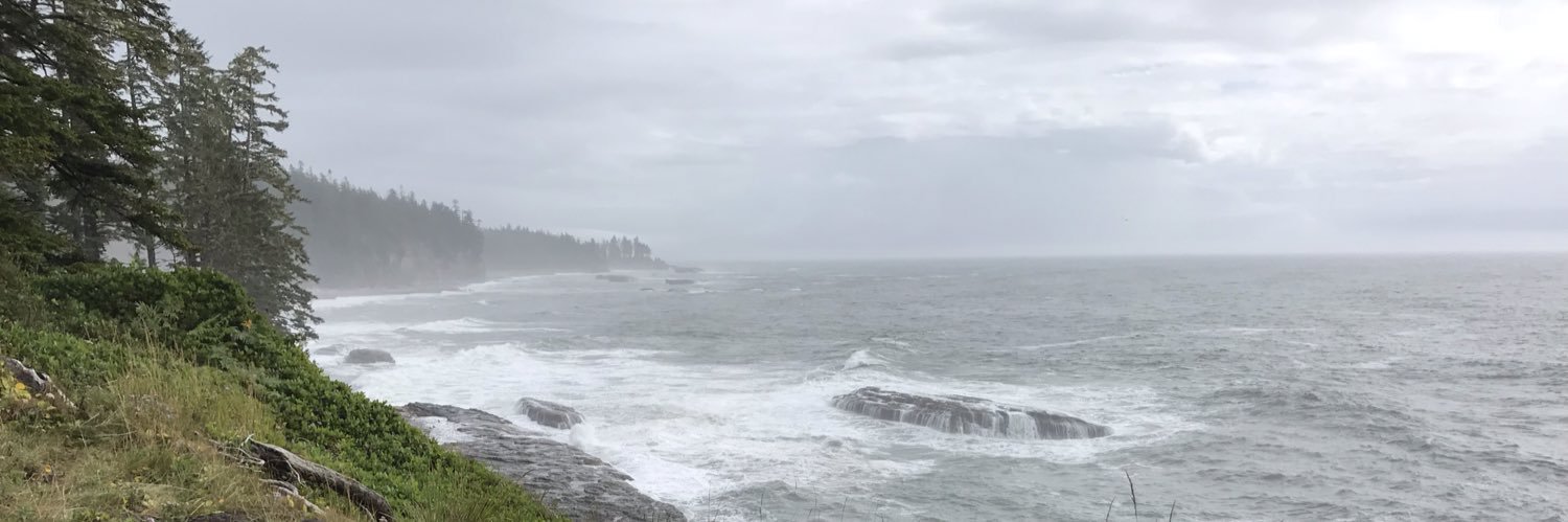 Paxton Bach MD, MSc banner