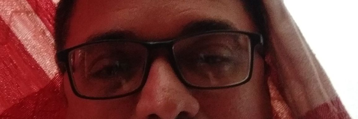 lzborges's profile banner image