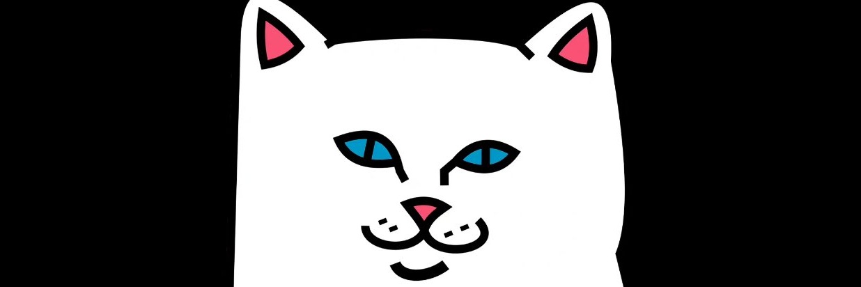 小猫, 猫咪 🐈‍⬛🐈🐈‍⬛🐈 banner