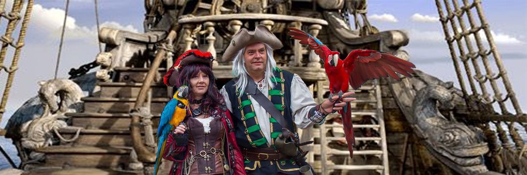 ParrotsnPirates's profile banner image
