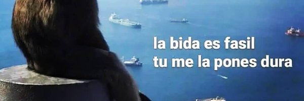 APcarriedo Profile Banner