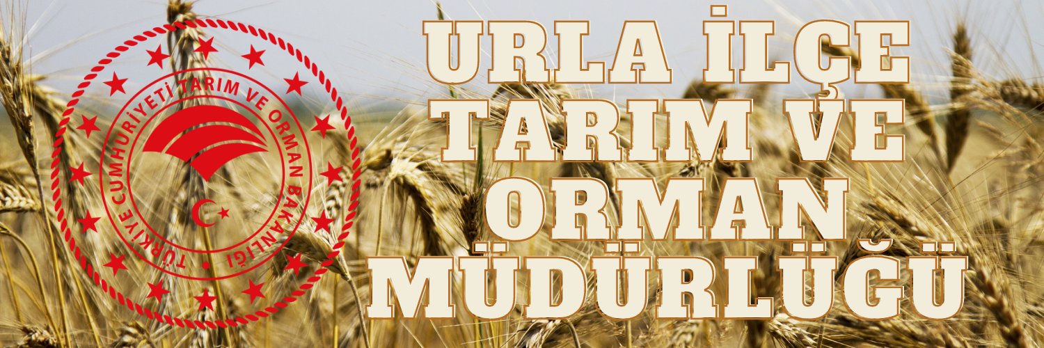 urlatarimorman's profile banner image