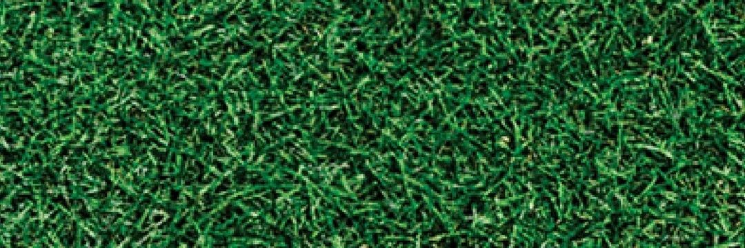 Super G Sportif banner