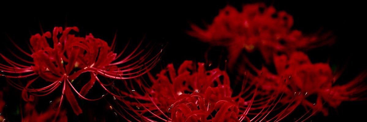 atteneeri_'s profile banner image