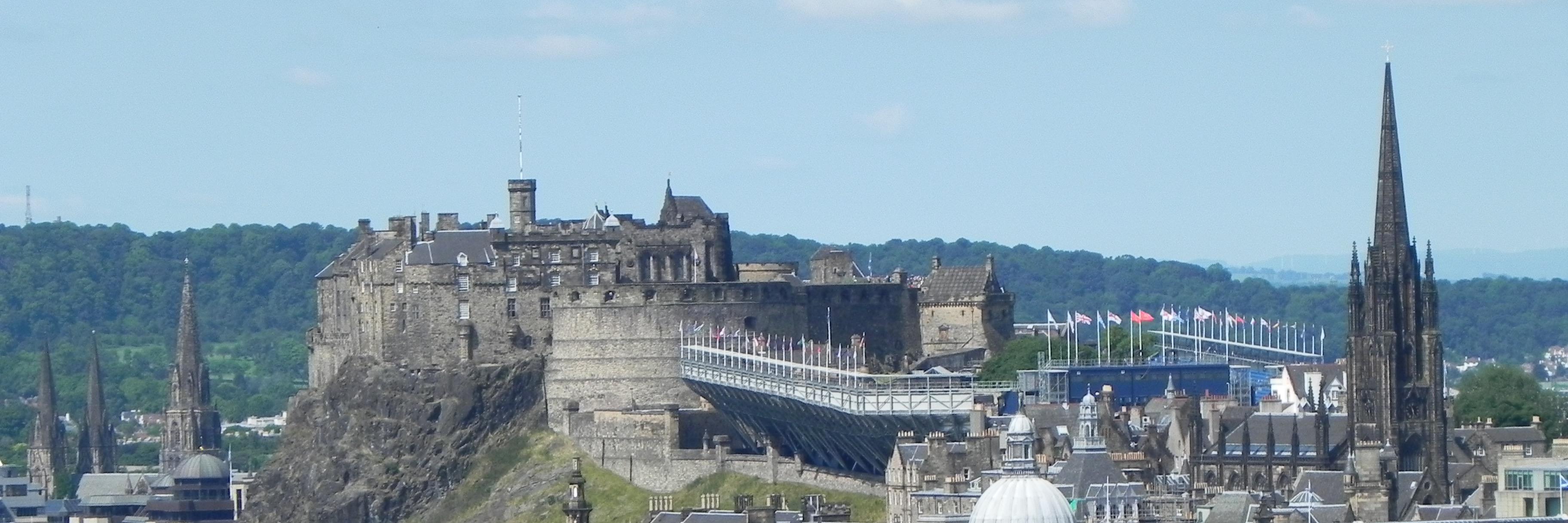 Steve A. Wiggins banner