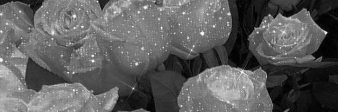 김예나 (イェナ) banner