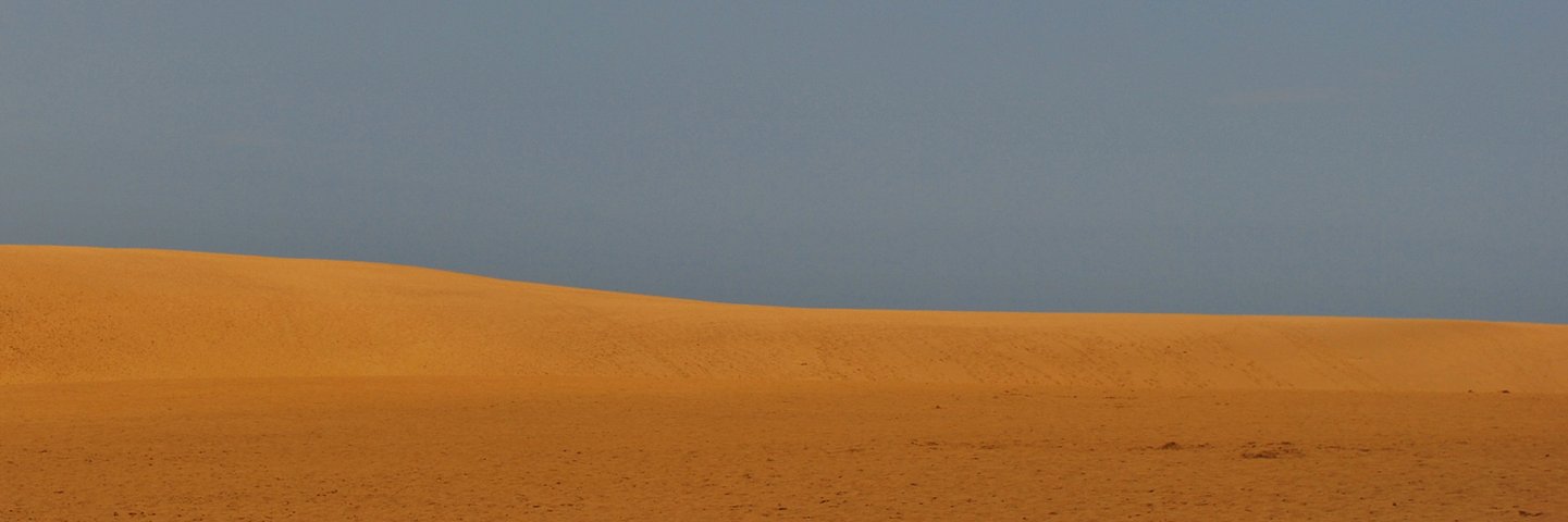 recruiter_yohan's profile banner image