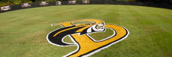 BrenauSoftball Profile Banner
