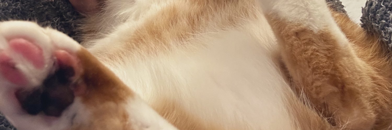 hiociiii's profile banner image