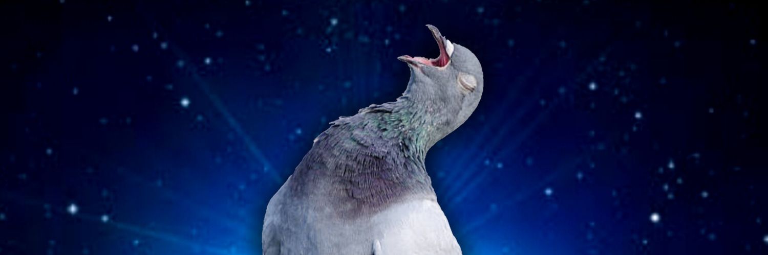 hato_saikyo's profile banner image