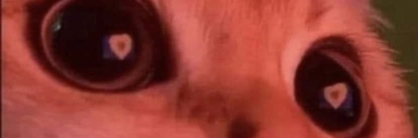 ohhmonikaa banner