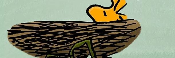 WOODS_conra's profile banner image