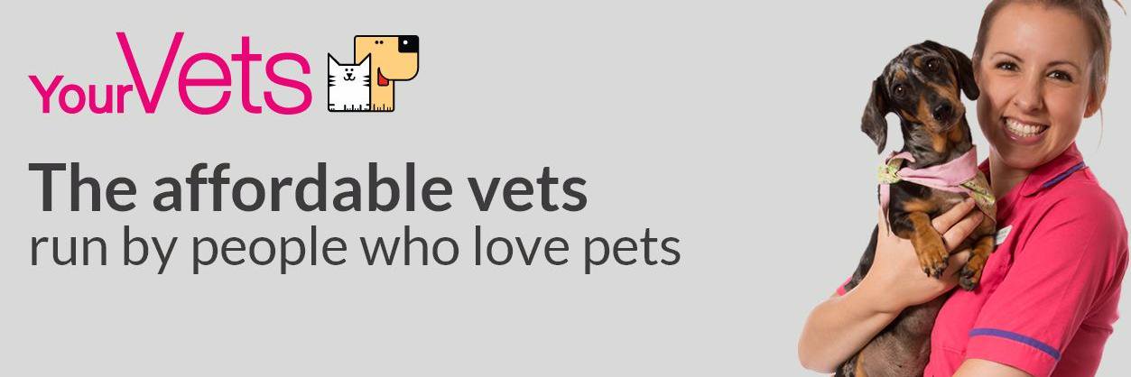 YourVets24 banner