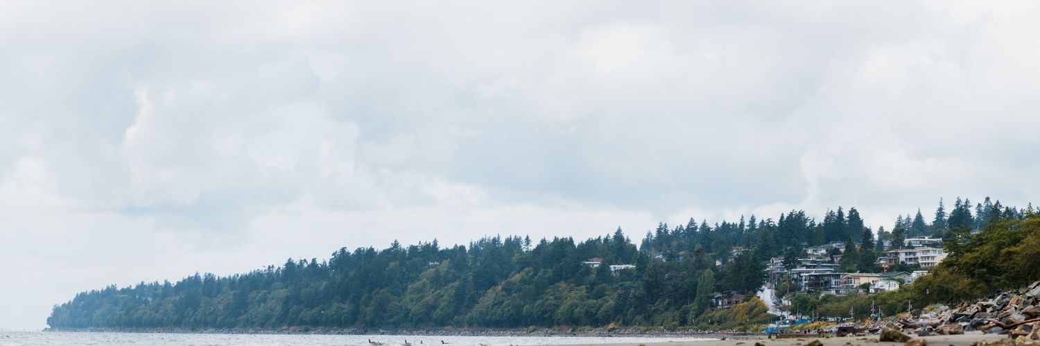 Alex banner