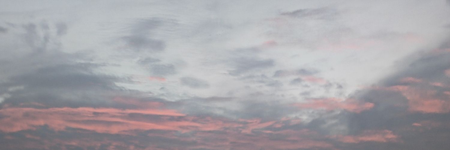 jingmeile's profile banner image