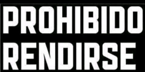 carlyfanss's profile banner image