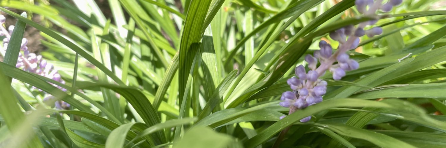 PMcIndependent's profile banner image