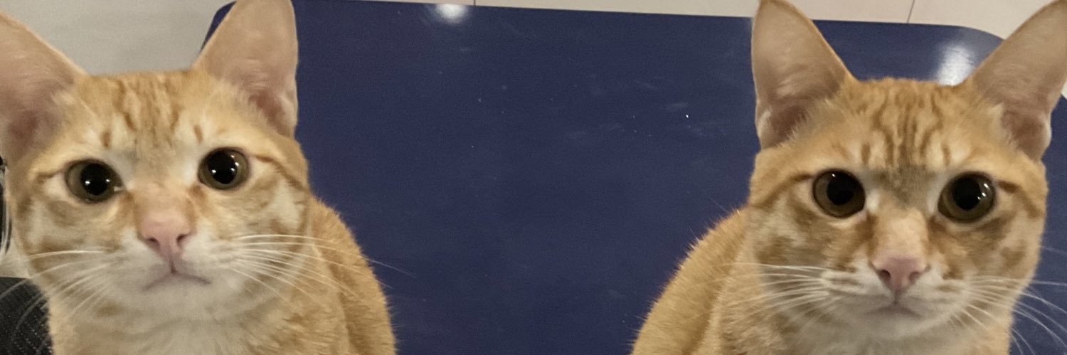 xixi's banner