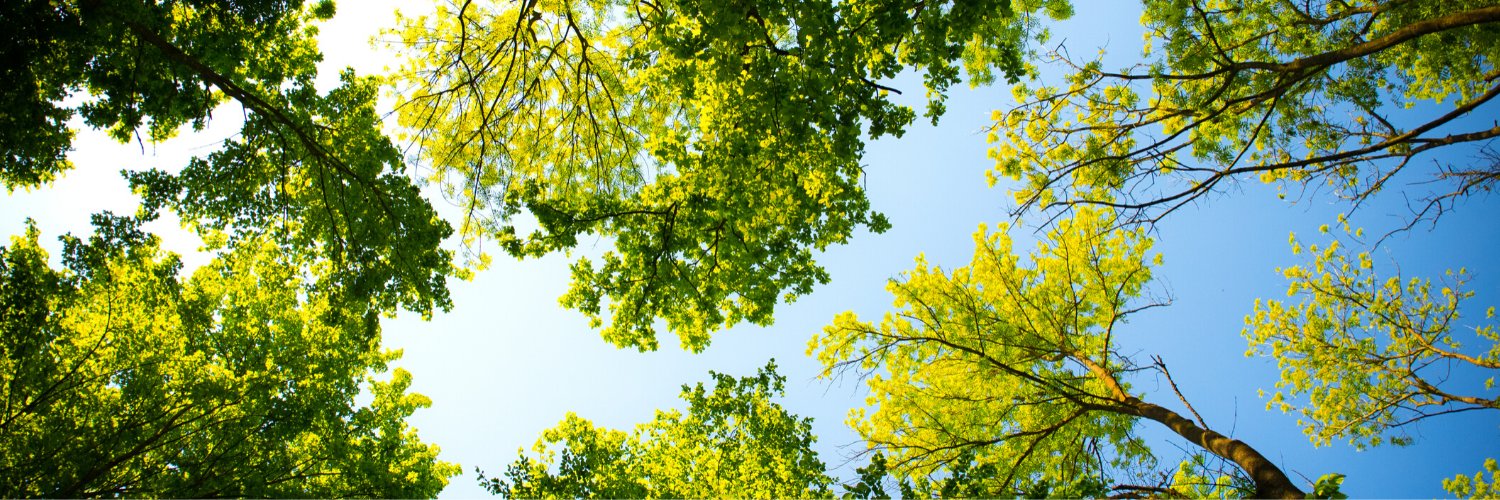 Jessica Coffey-Hanlin banner