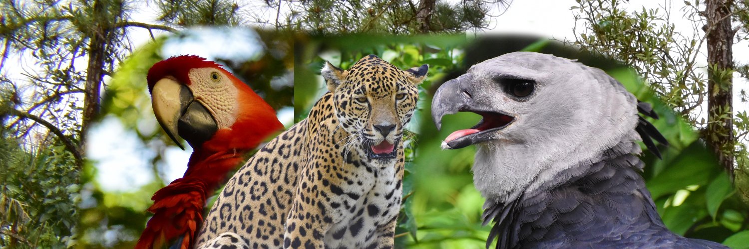 The Belize Zoo and Tropical Education Center banner