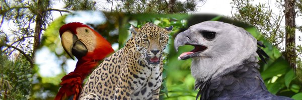 ZooBelize Profile Banner