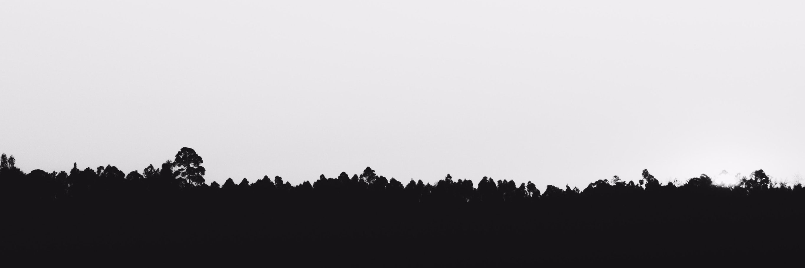 vincent968's profile banner image
