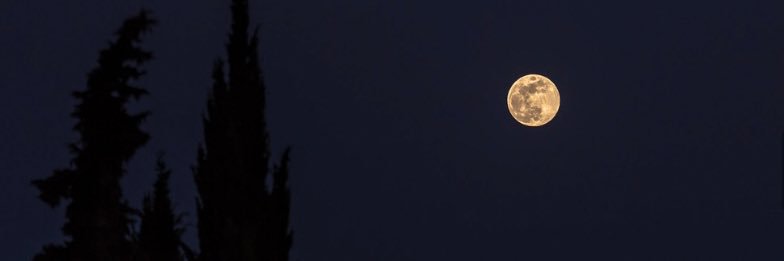 izi_kit's profile banner image